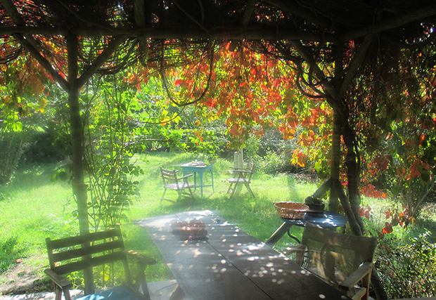 Blick aus der Terasse