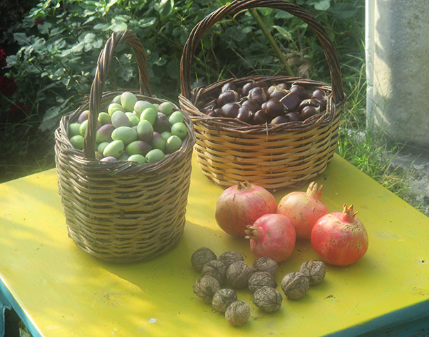 Obst aus unser Garten